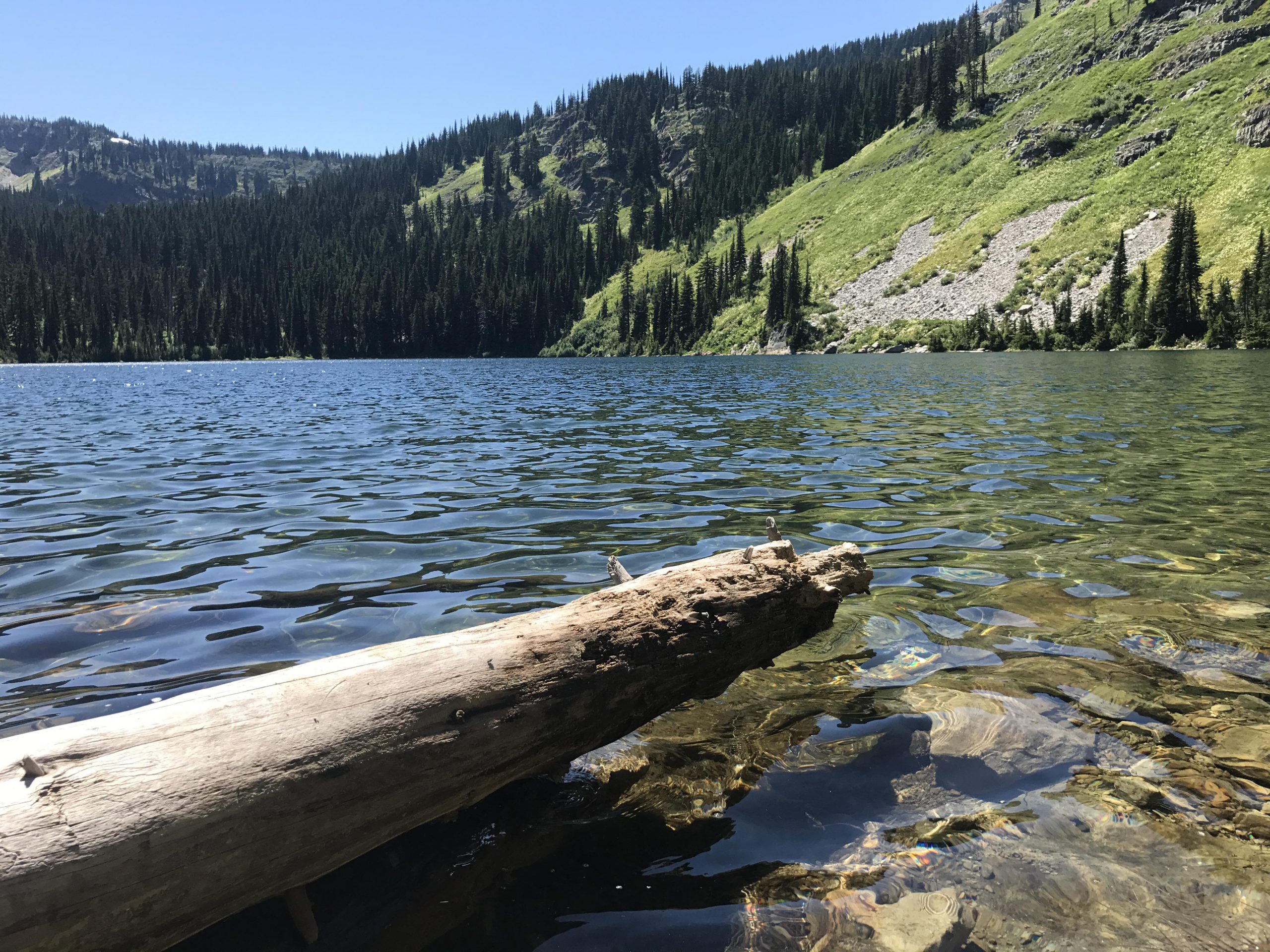 Blossom Lakes Loop NaughtyHiker